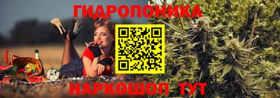 меф Кингисепп