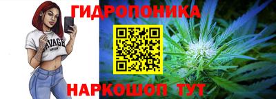 меф Кингисепп