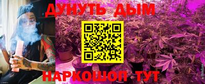 меф Кингисепп