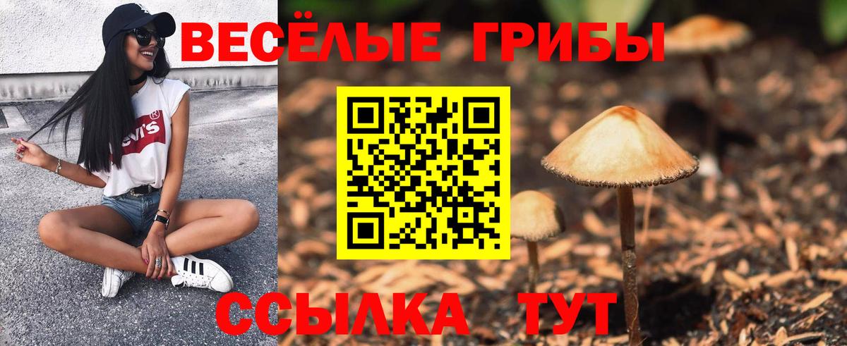 Псилоцибиновые грибы Psilocybine cubensis Липецк